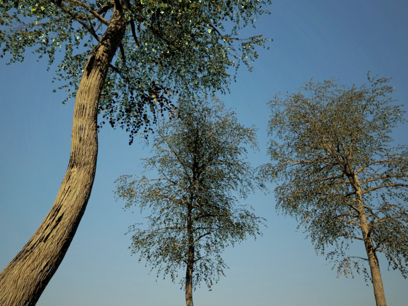 3dsmax-trees