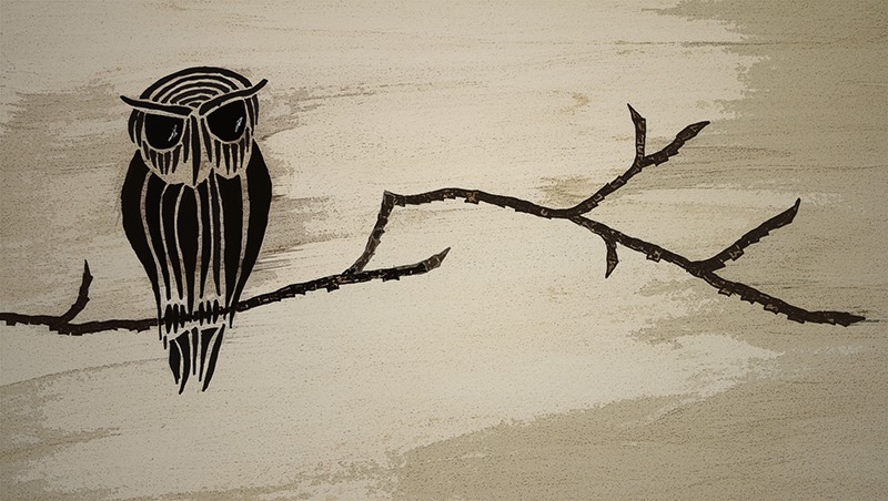 1080079_10151494314347301_845852977_n