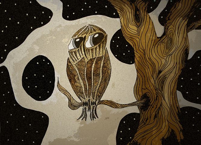 972334_10151523323657301_1003853421_n